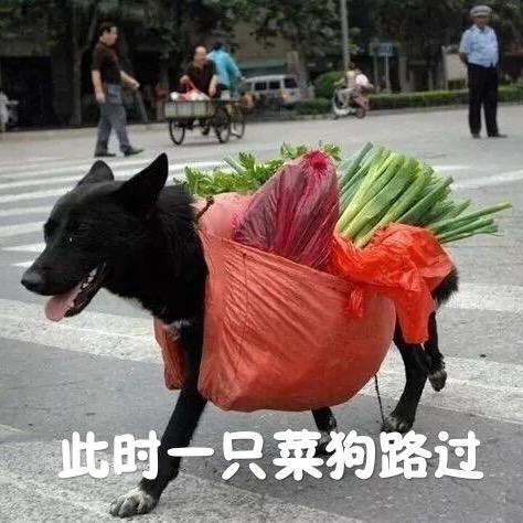 二狗