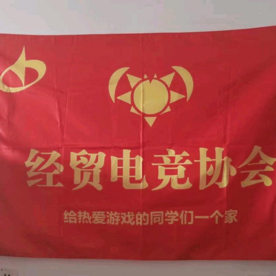 经贸电竞协会