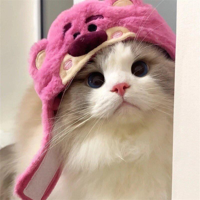 真的不养猫