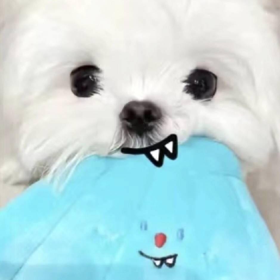 困了^