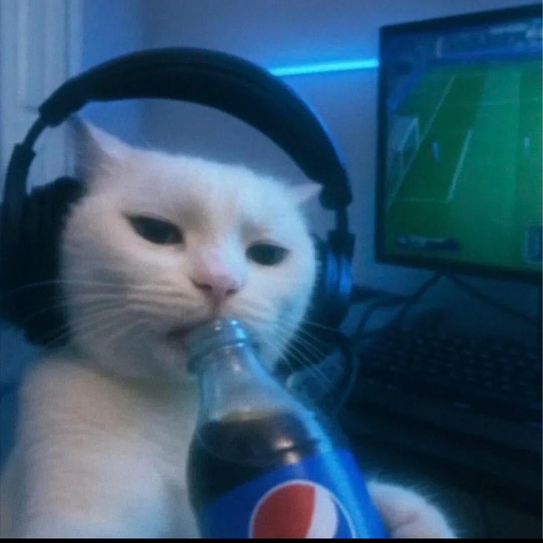 菜仐辣椒.🌶️