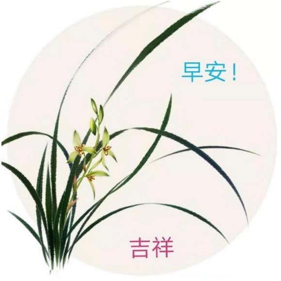葉（yecy）🍁