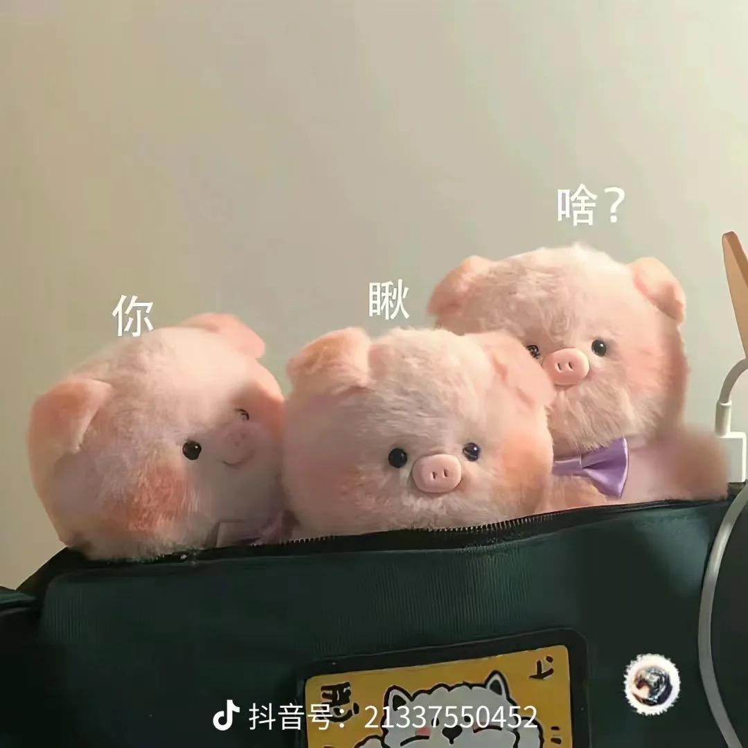 离哼哼