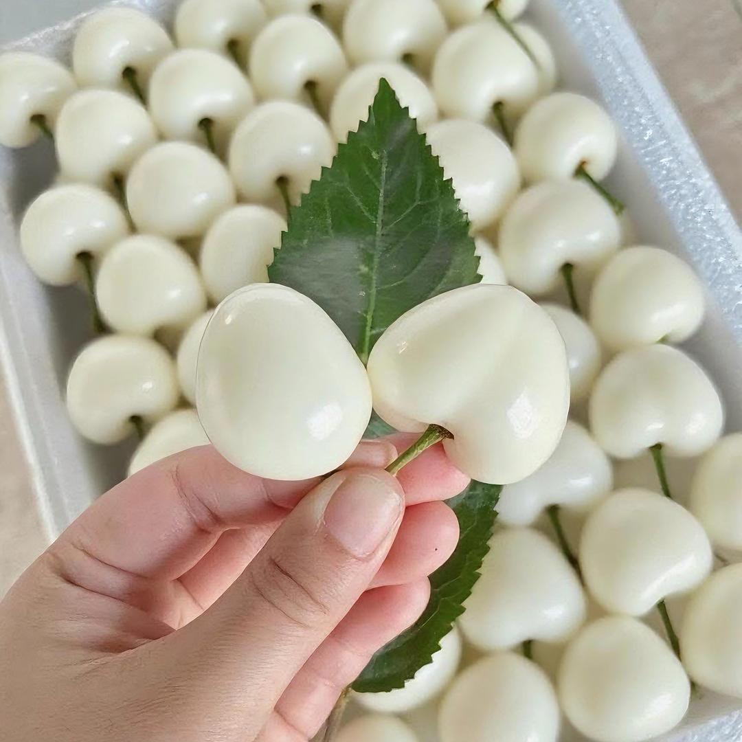 果益寿平邑铭仕果树苗木专卖店