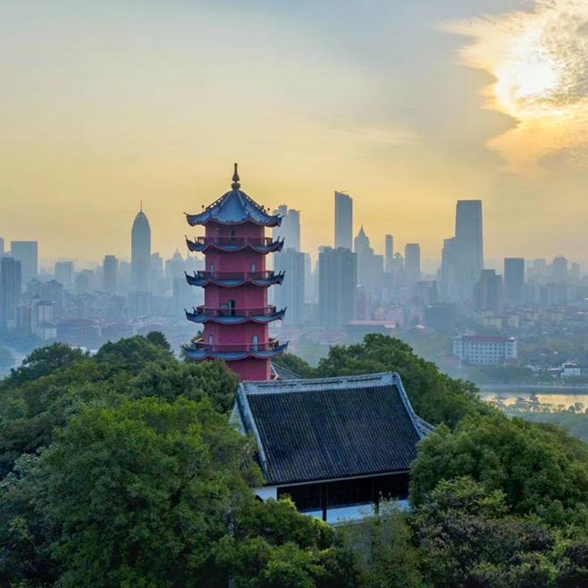 龙光塔下
