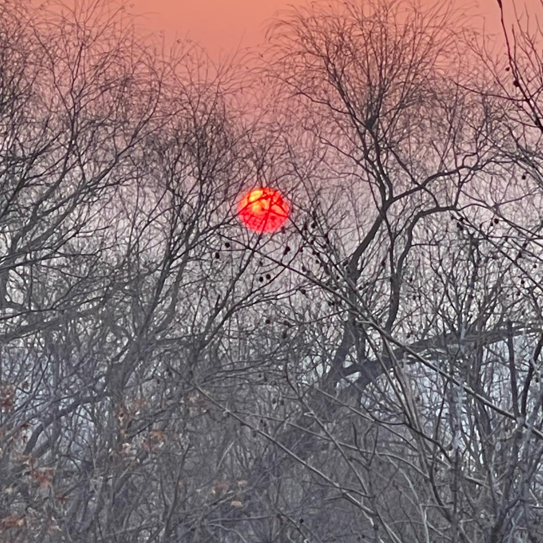 刘星锐