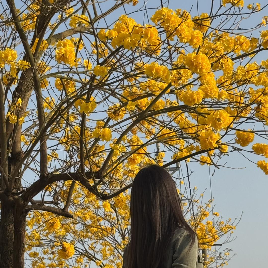 杨杨穿搭记