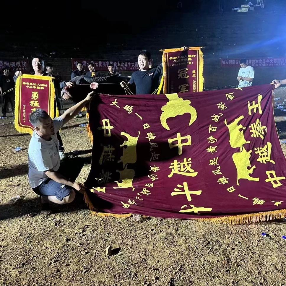 中越斗牛