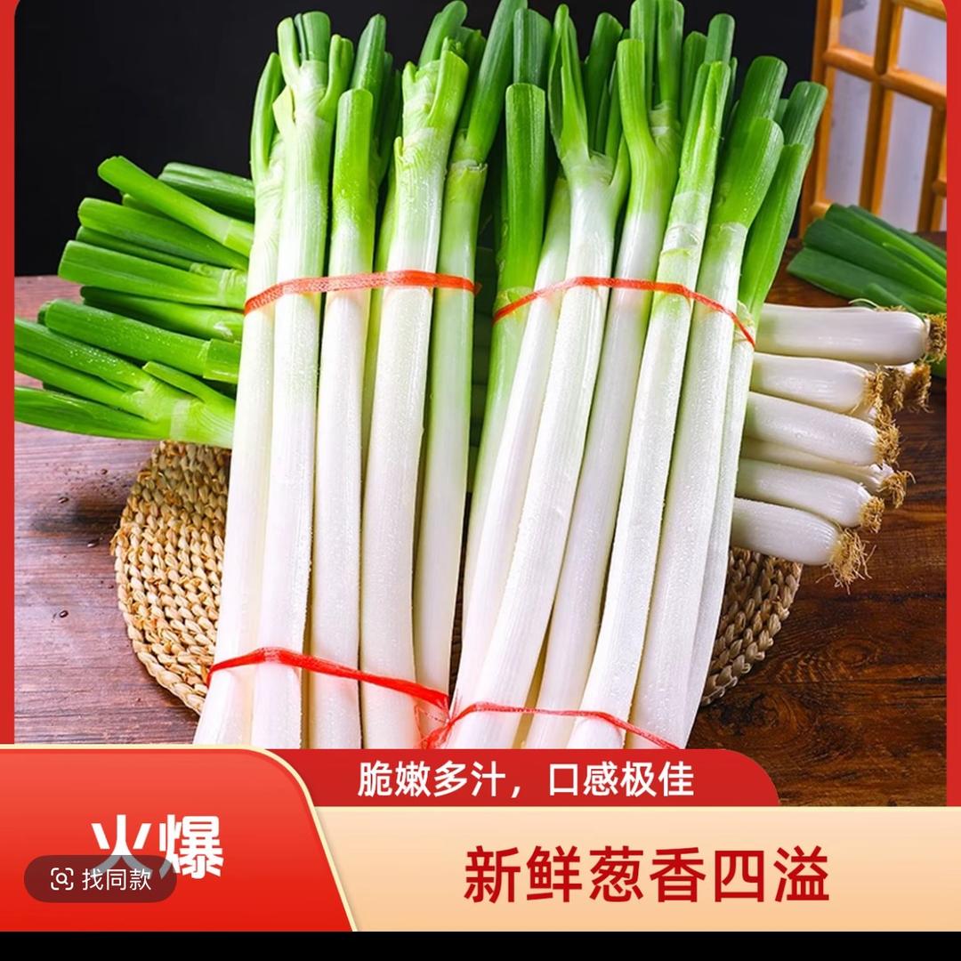 山东牌大葱av棒