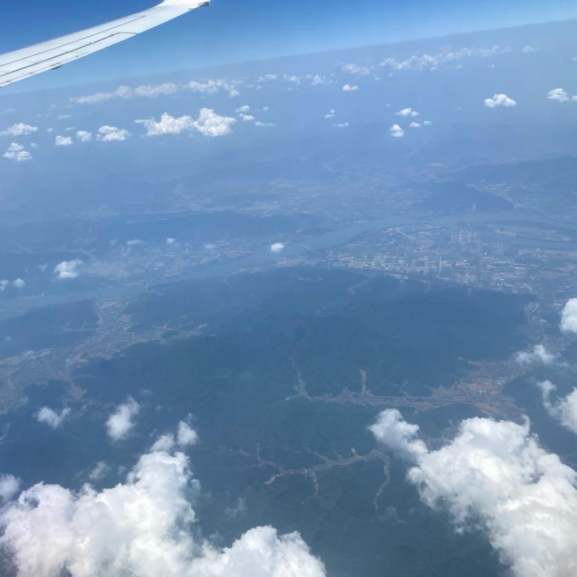 阿莲