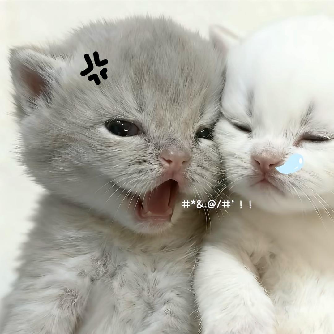 🏠