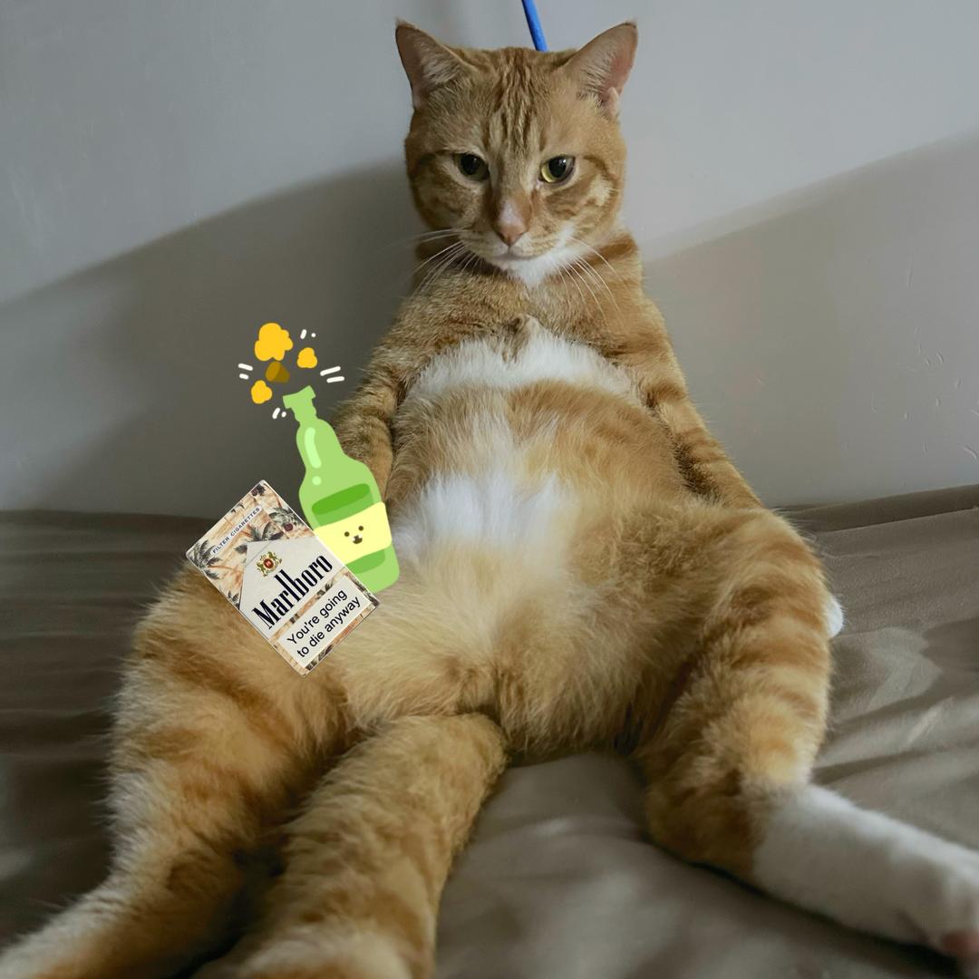 秋天，想吃豆沙包