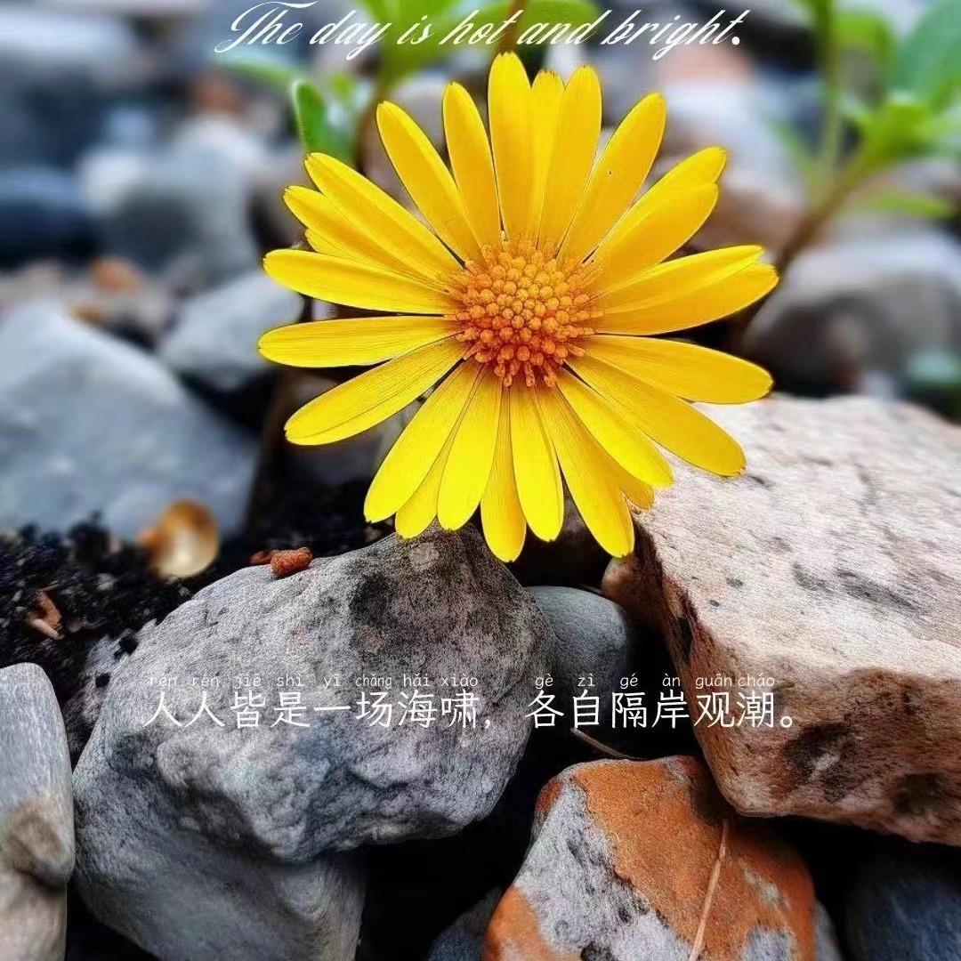 玉颜阁养生会所