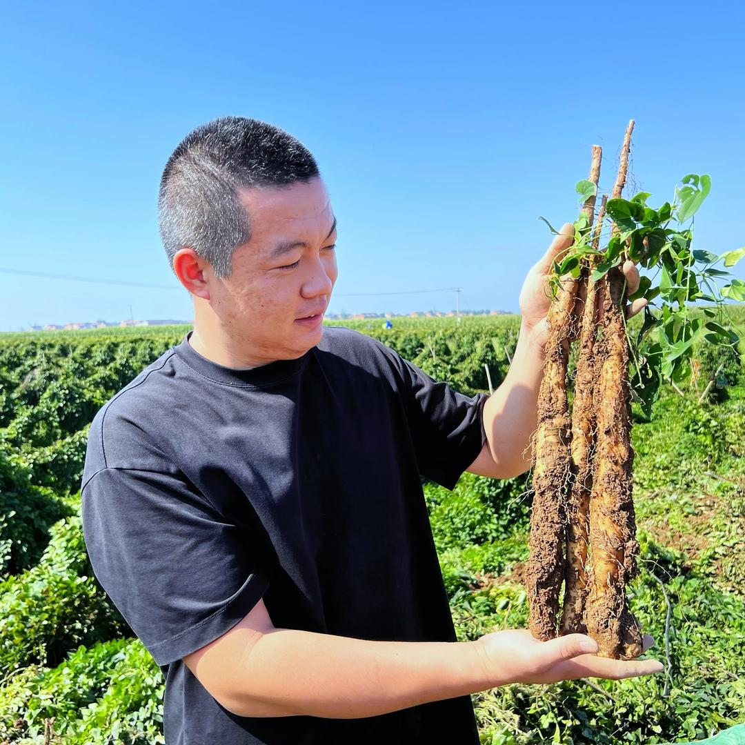 郑农记（铁棍山药）