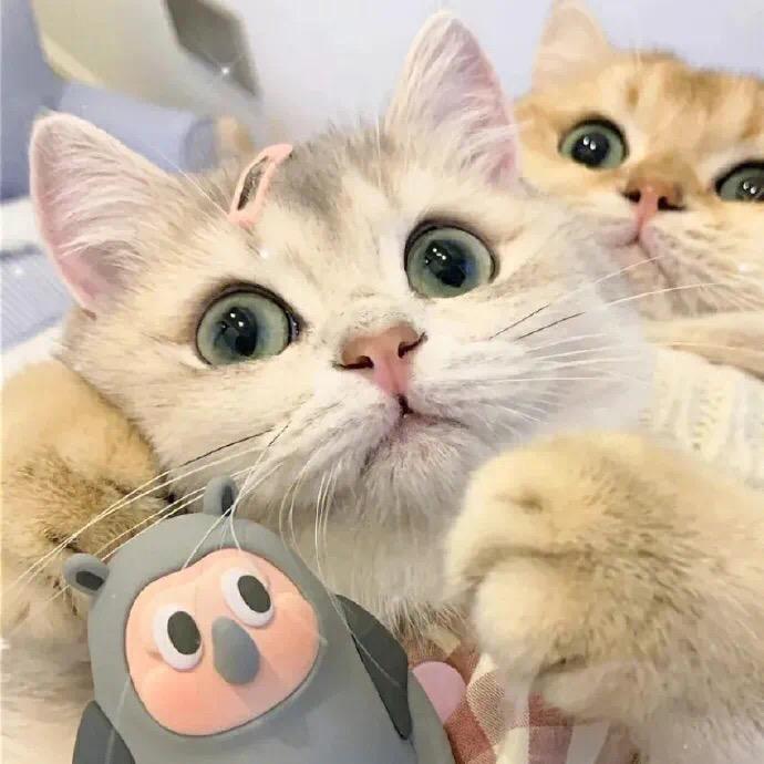 bo～