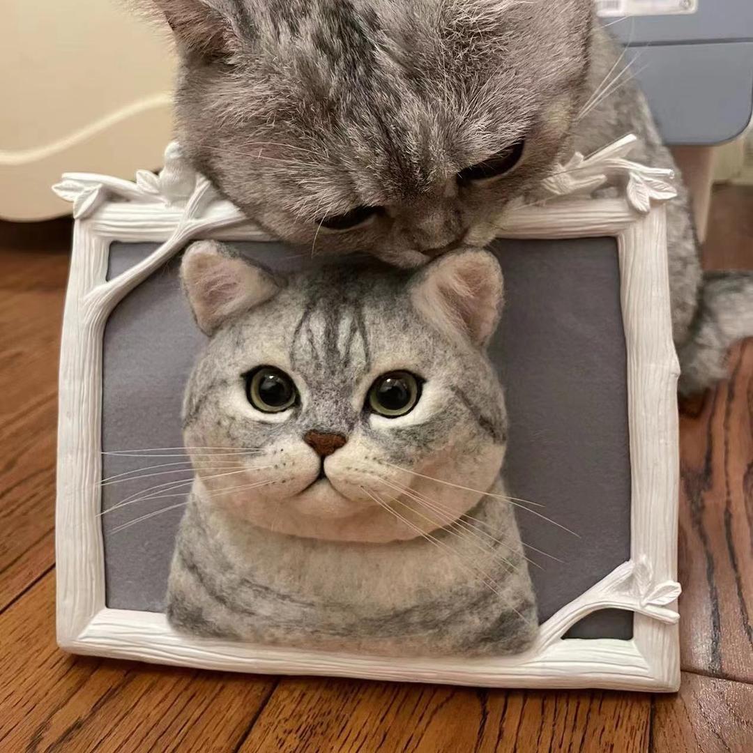 猫爷手作（有课程）