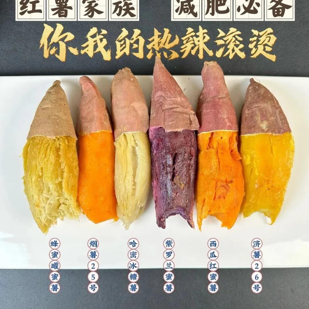 天天农场