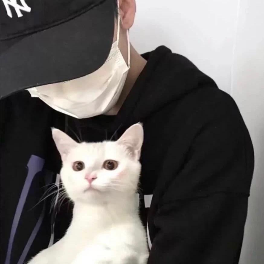 小龙