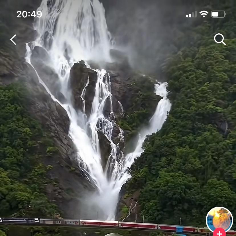 缘礴师兄