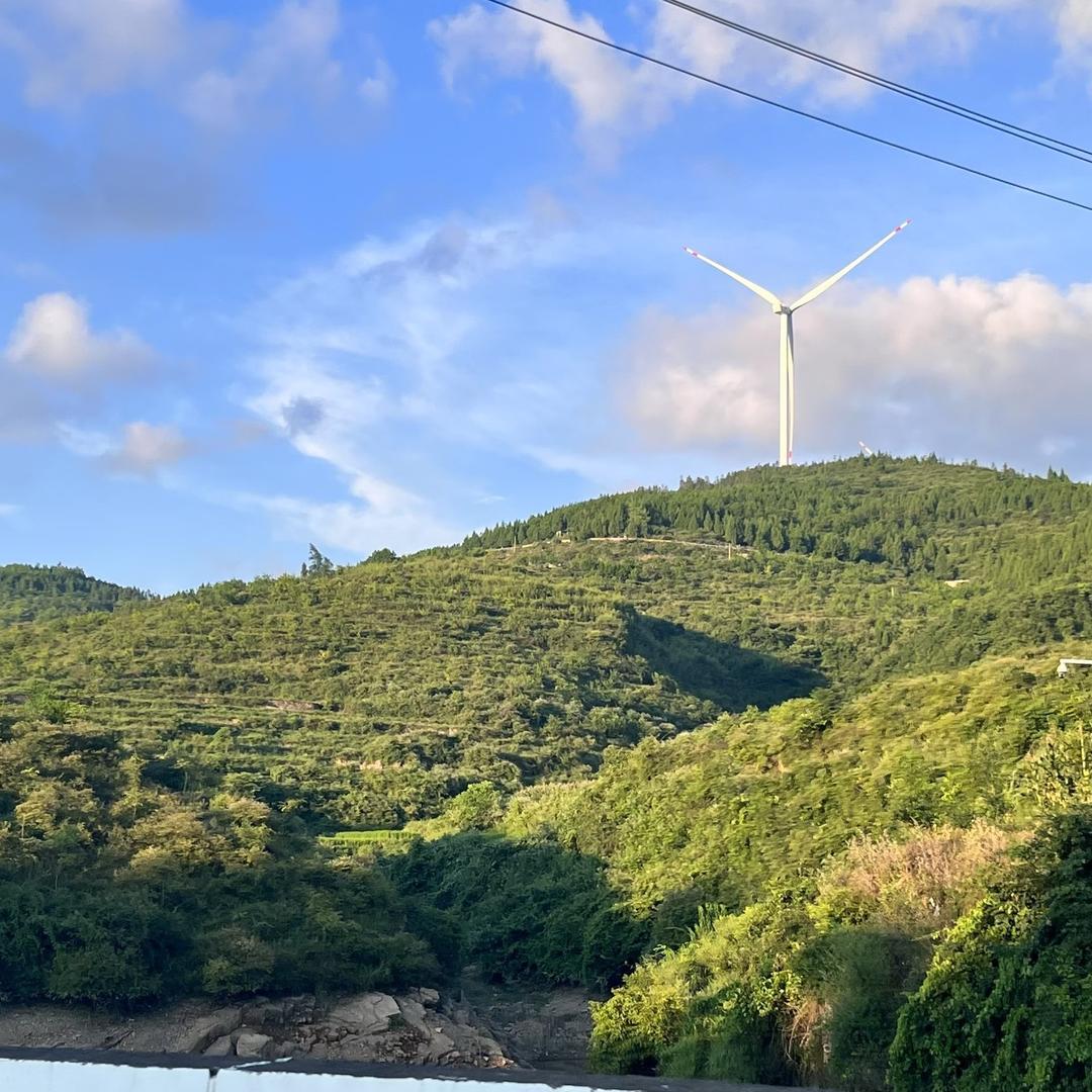 💍💍🐇🐒🐑🍎🍎