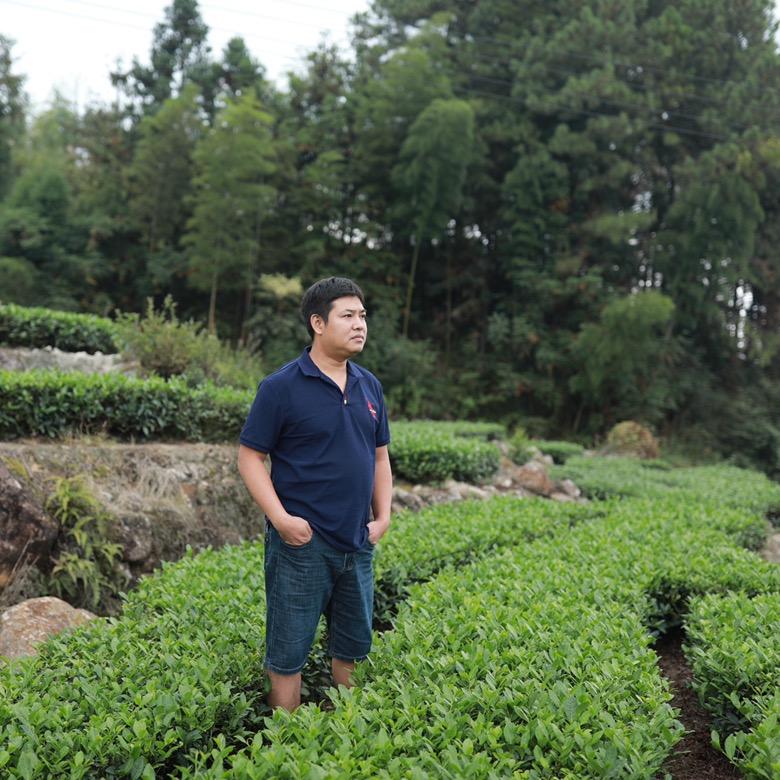 茶人杨康