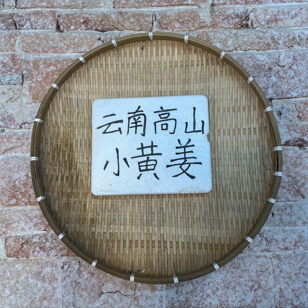 靓姨直播间（首播开播）