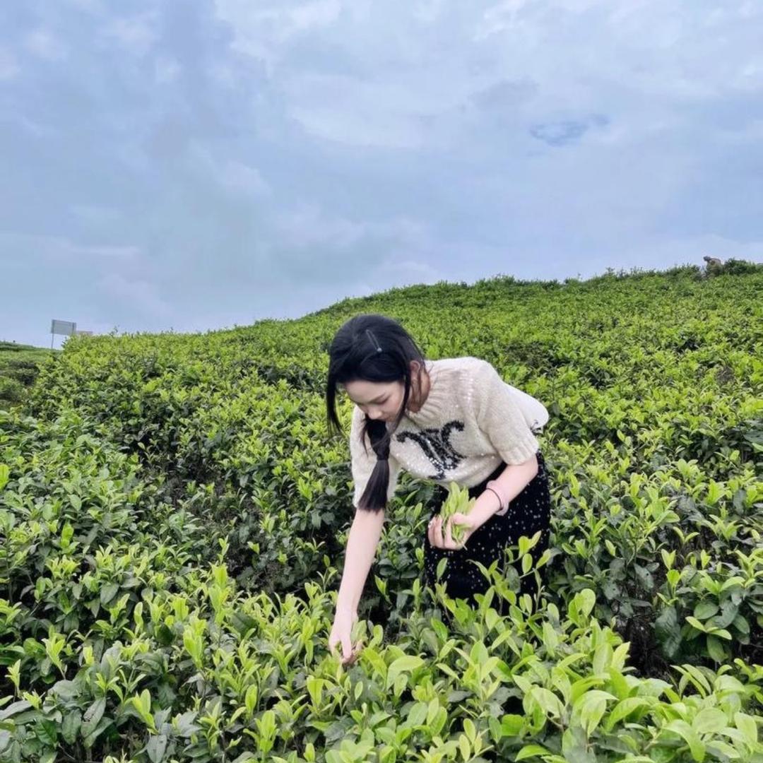 只带言好物推荐