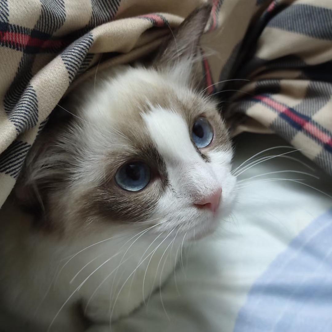 这现在滴年轻人
