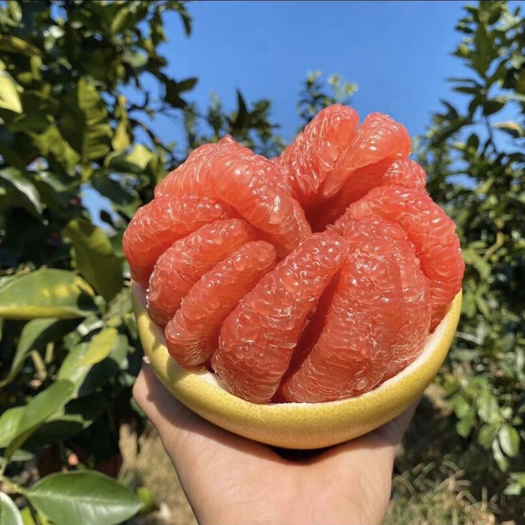 新鲜果蔬精选小铺