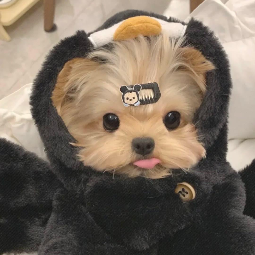 月亮还在睡