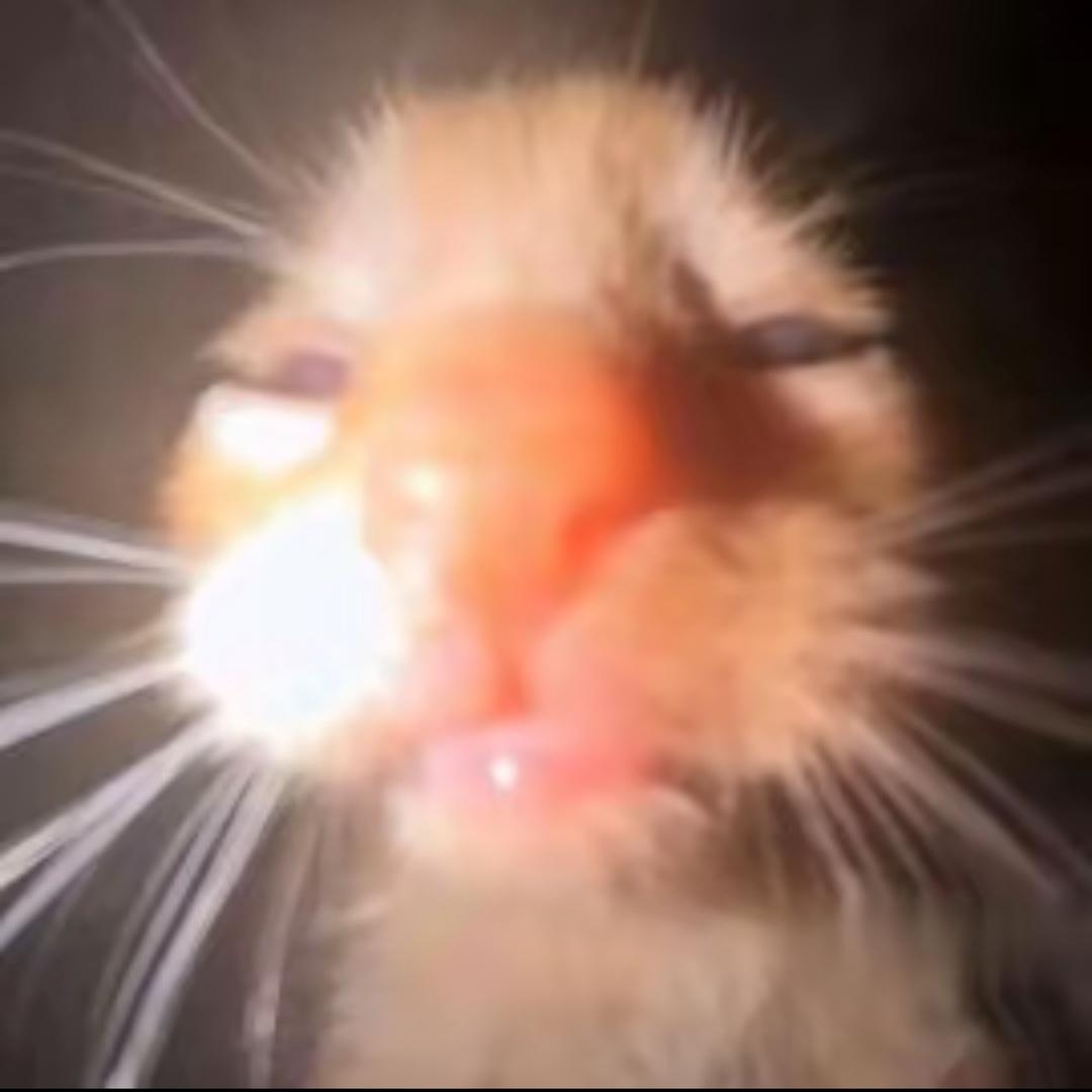 是勾哥哥啊！！ yu