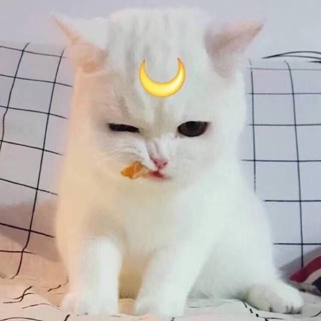 请叫我小祸害