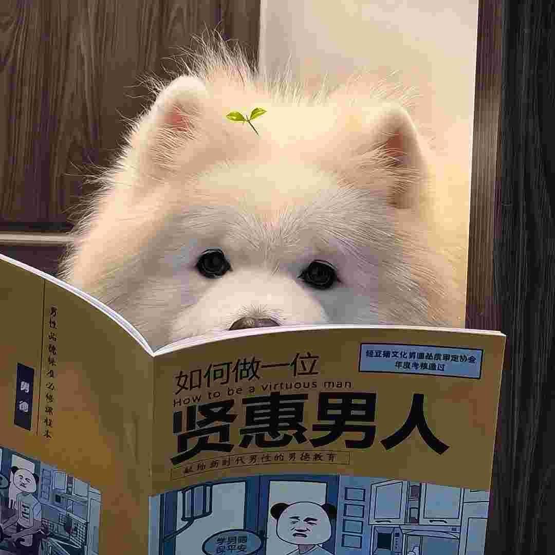 我喜欢喝龙井💤