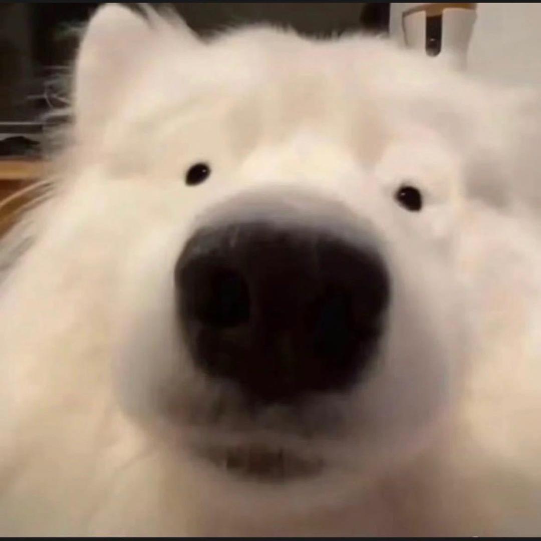Y.