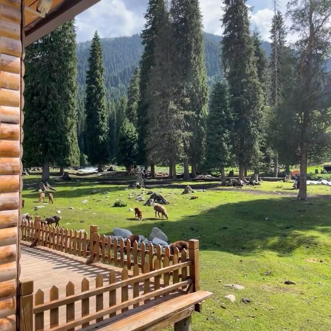 木屋设计安装施工