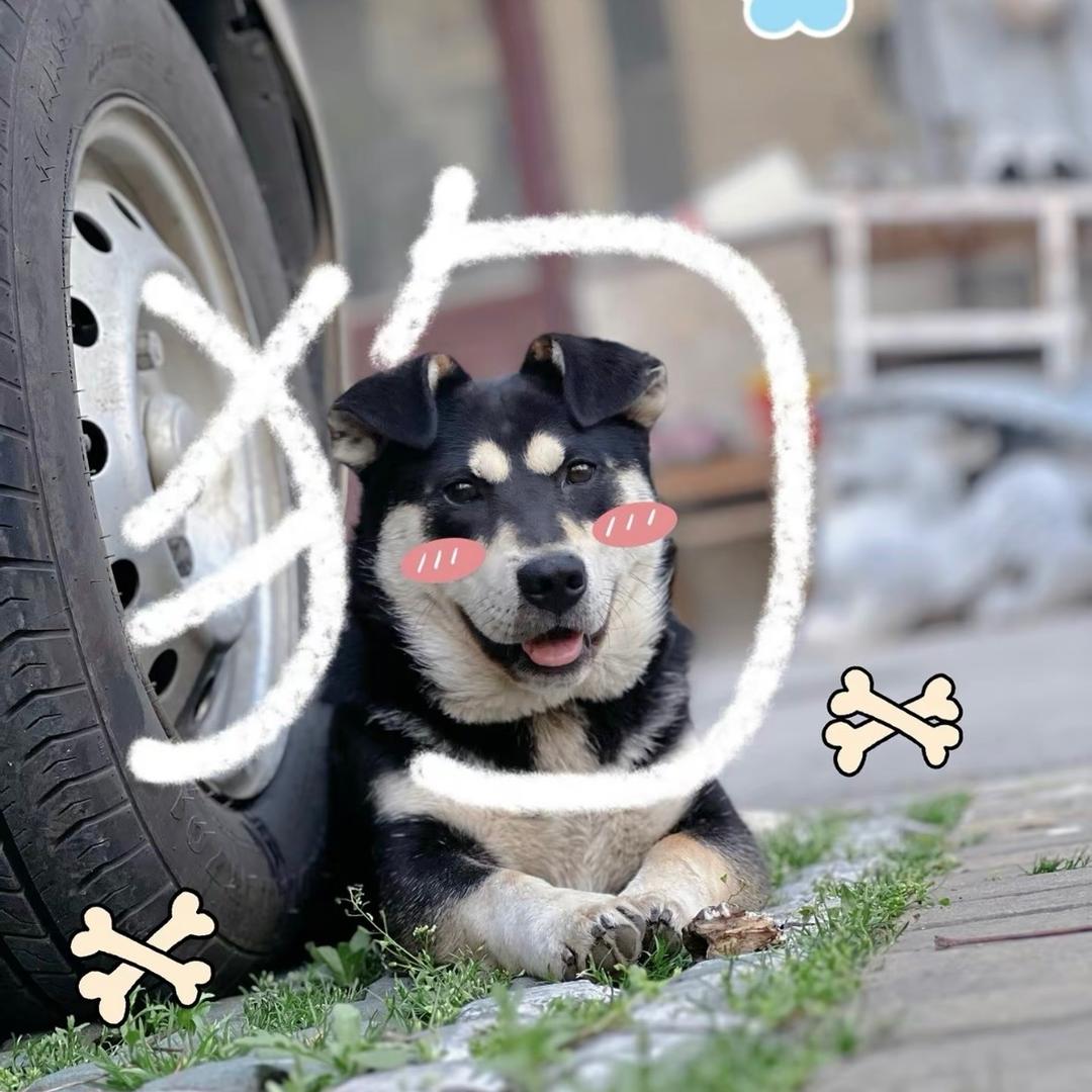 小卖部董事长