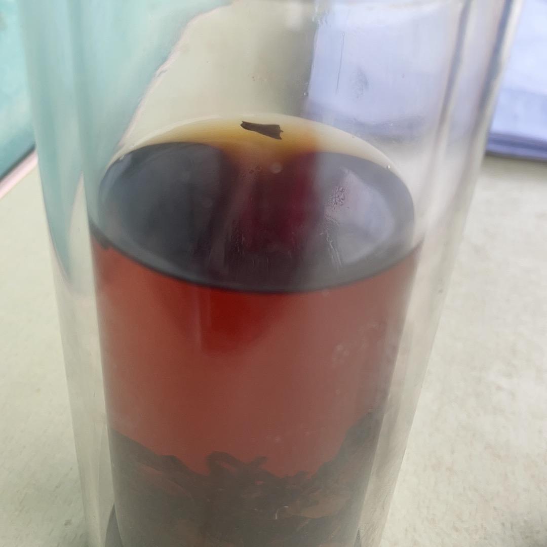 蛋蛋