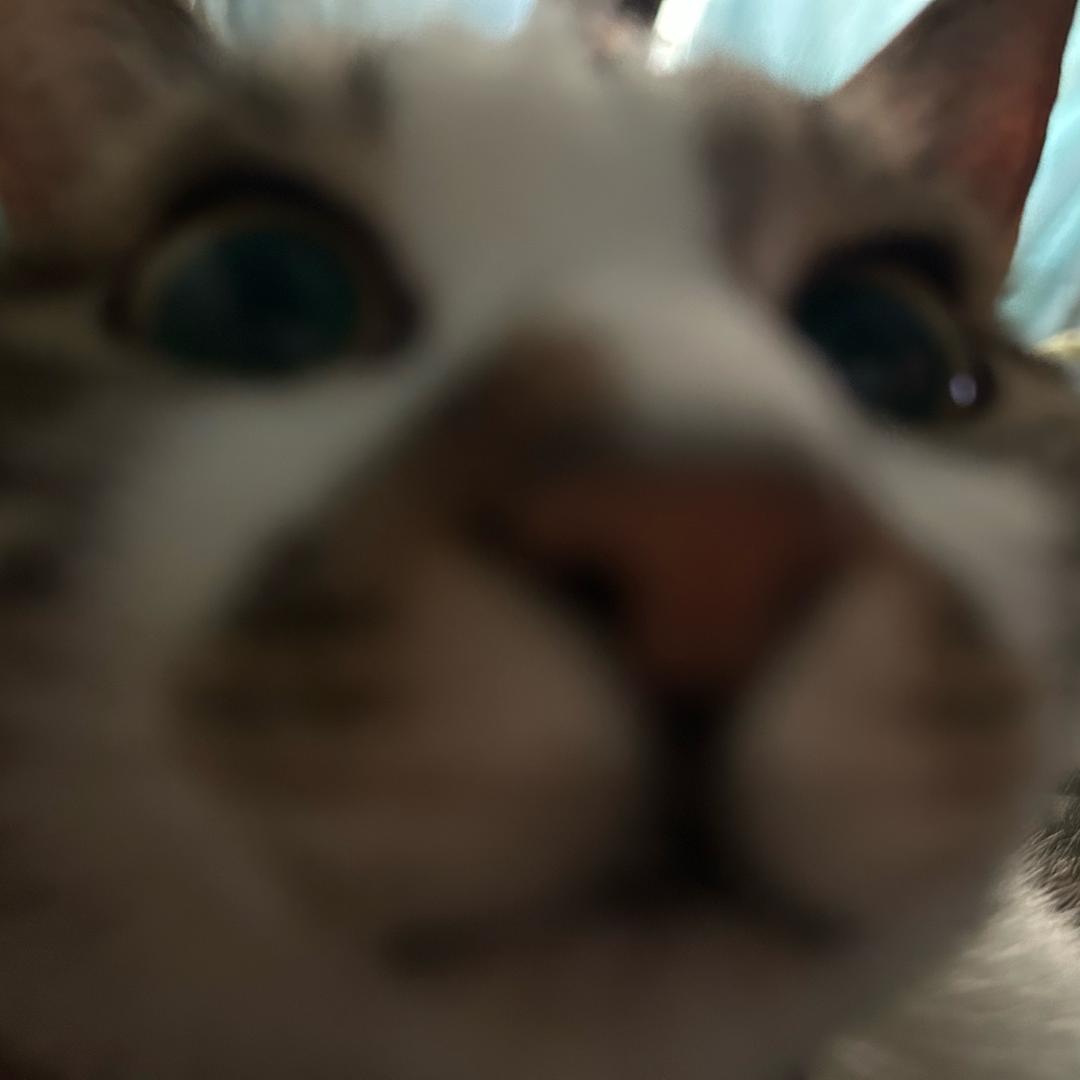 6137