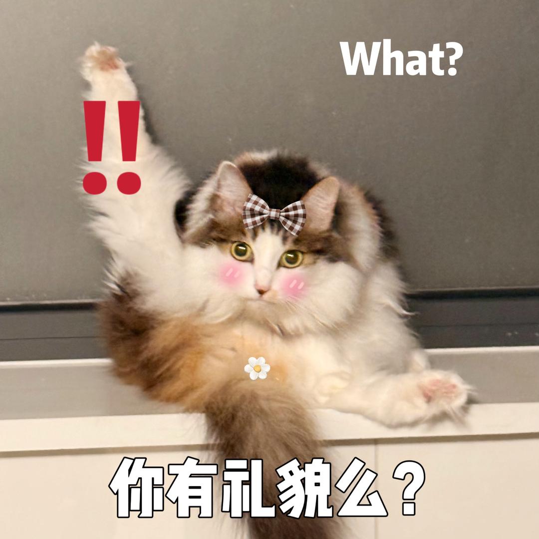 不到95斤不改名