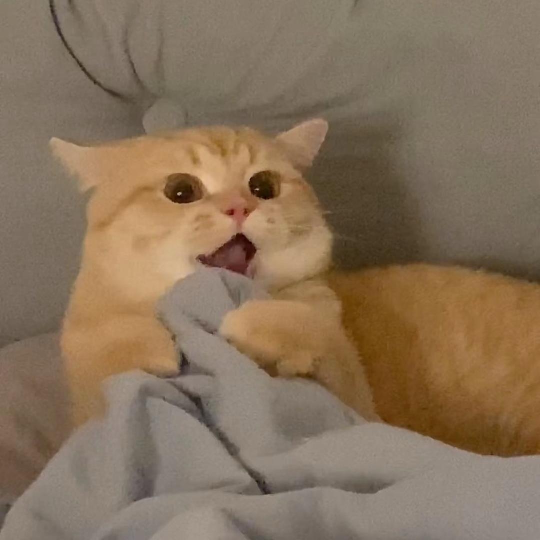 Ꮤ言溯Ꮤ