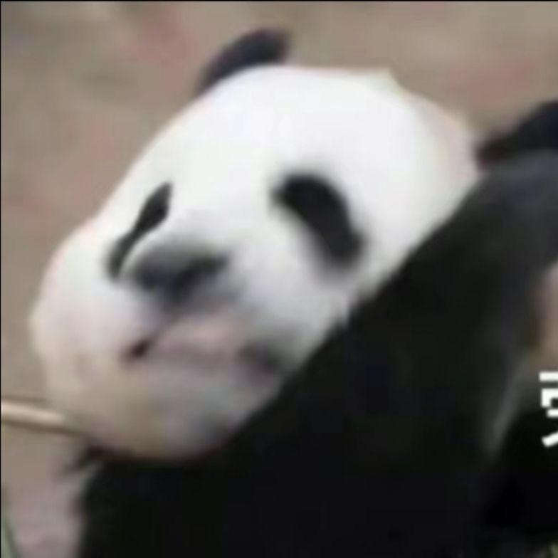 一支渔🐟