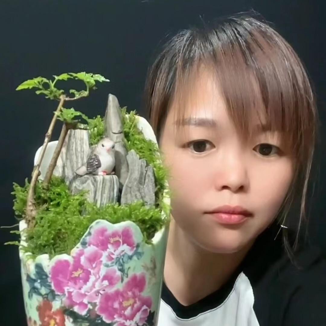 小何景观