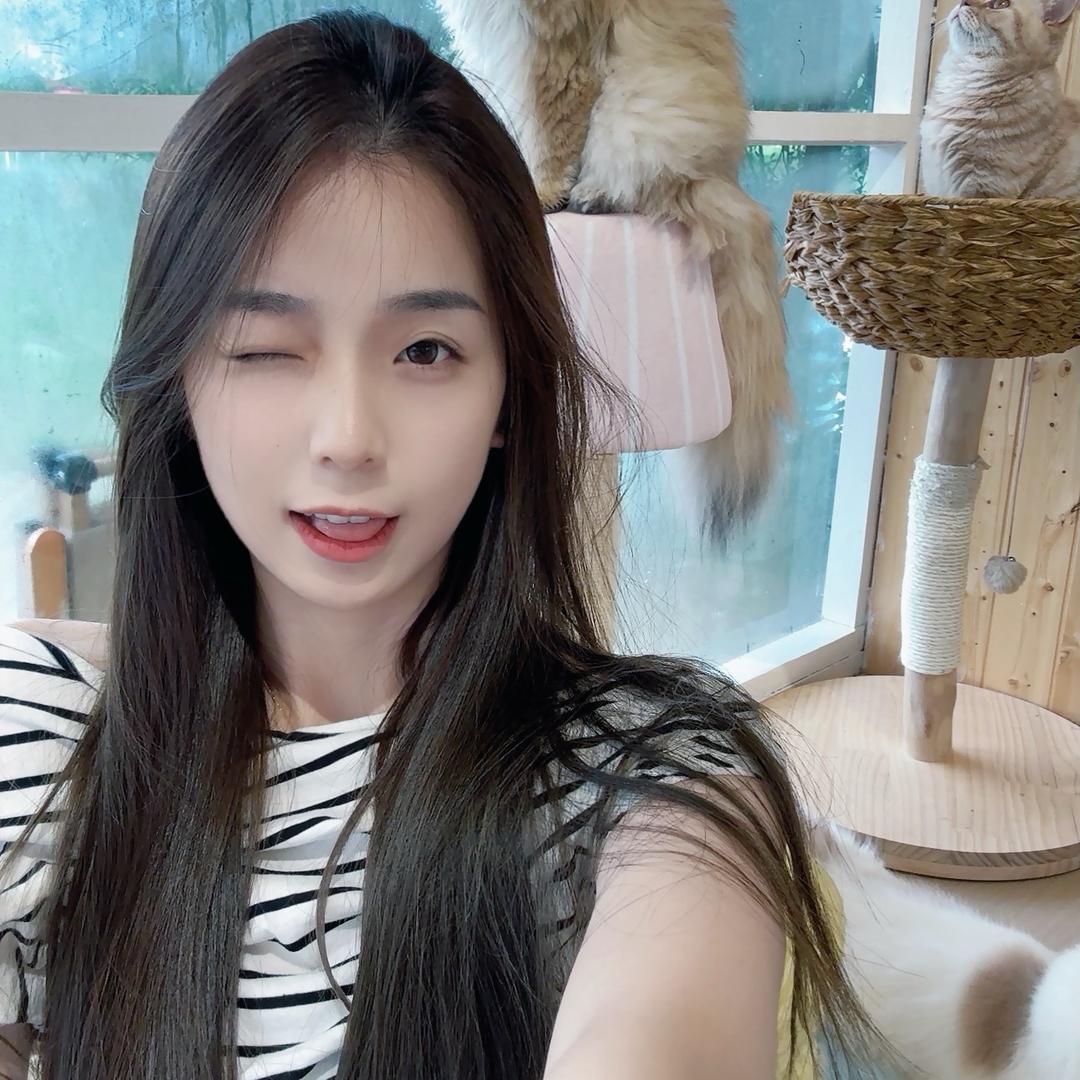 好像是佳佳
