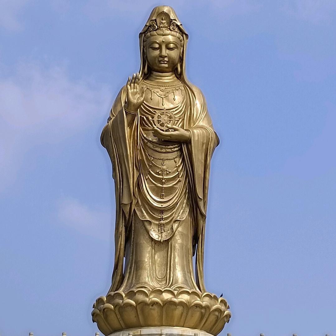 王逸轩