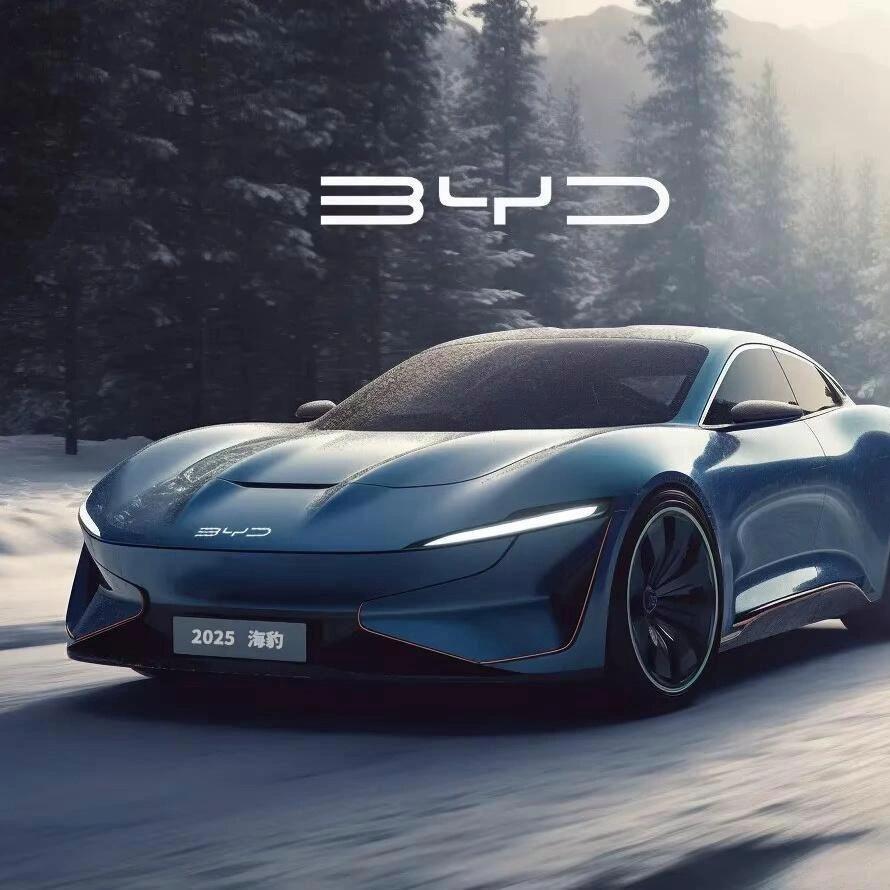 凤城凤迪汽车（预蒜分店）