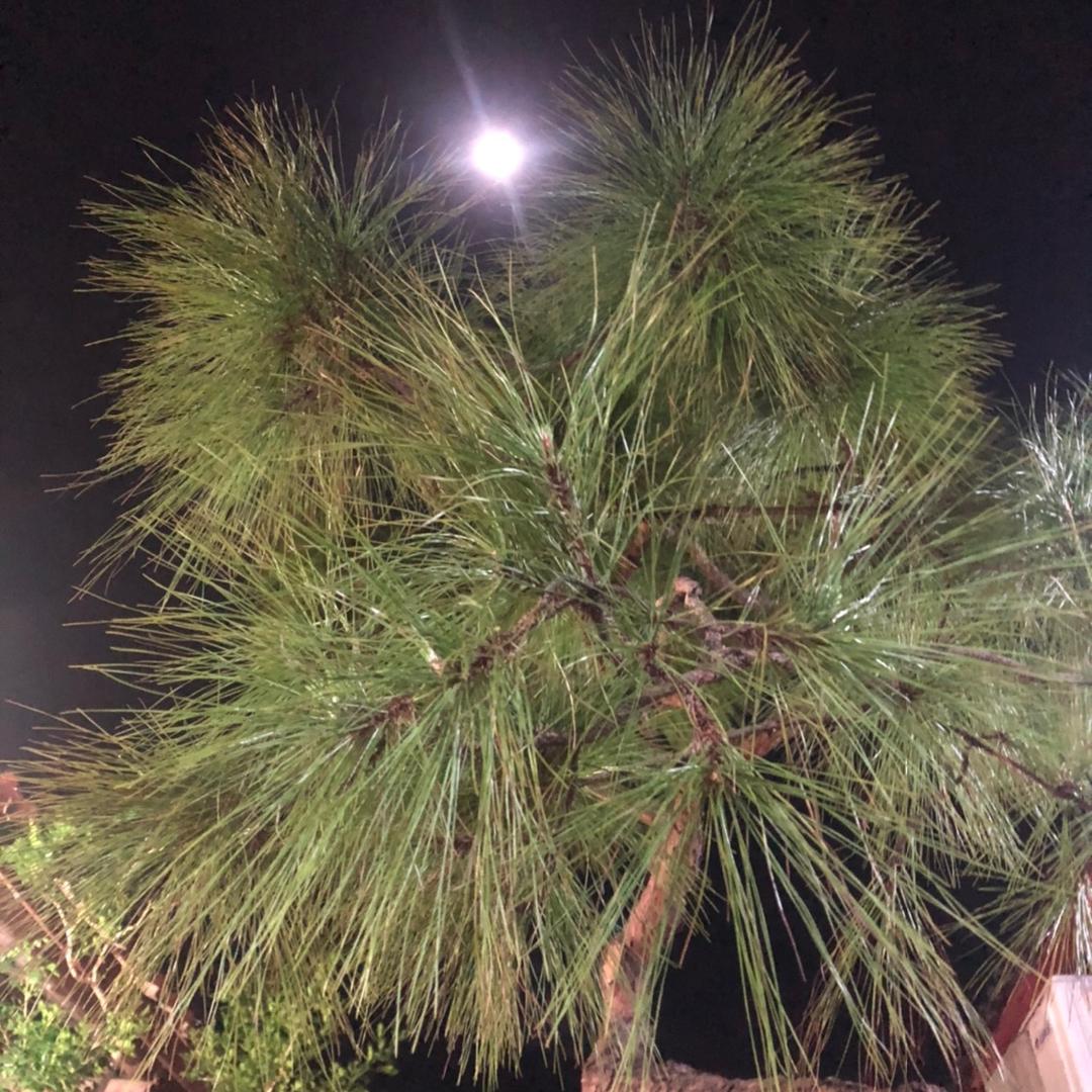 新长兴汽车轮胎