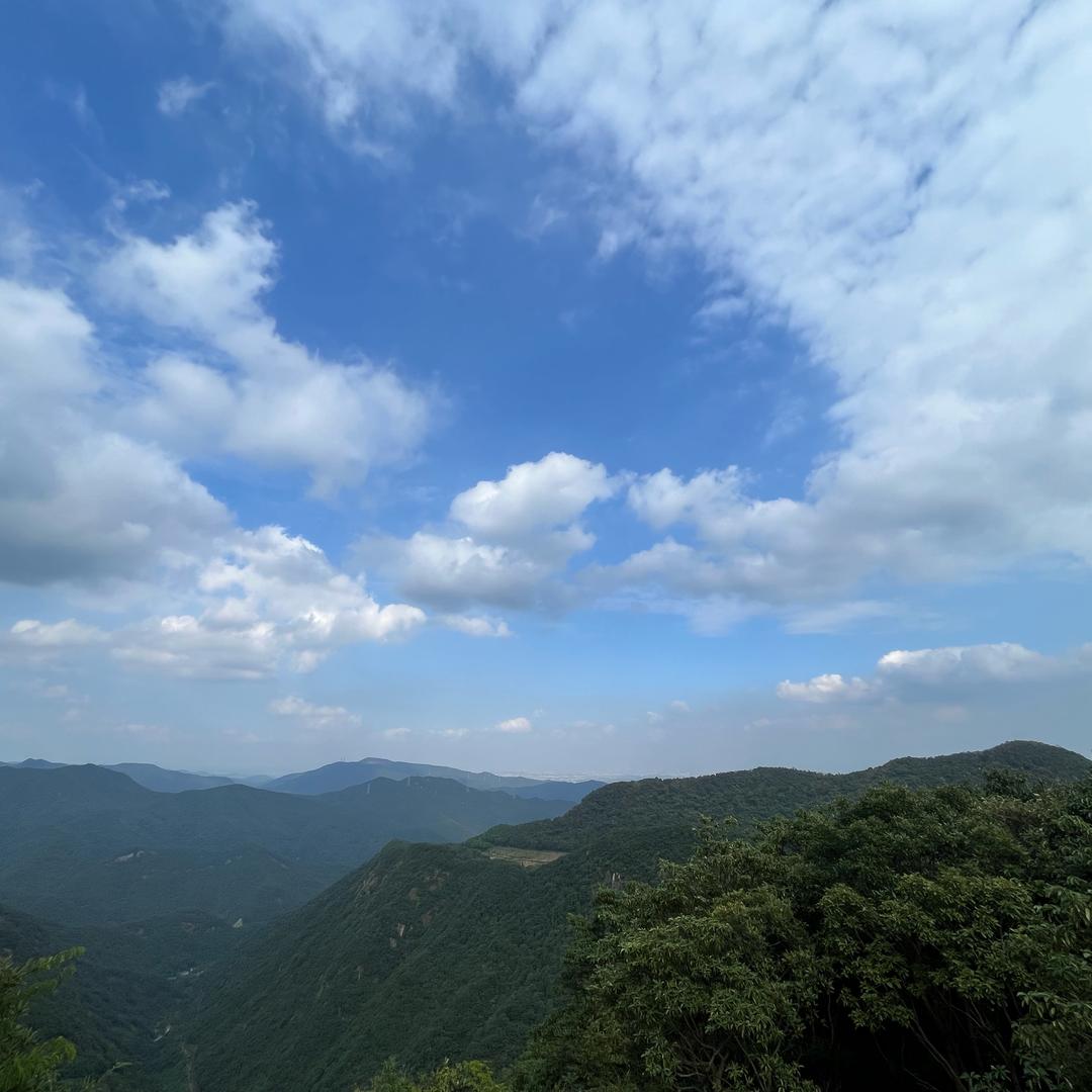 徐虾渴