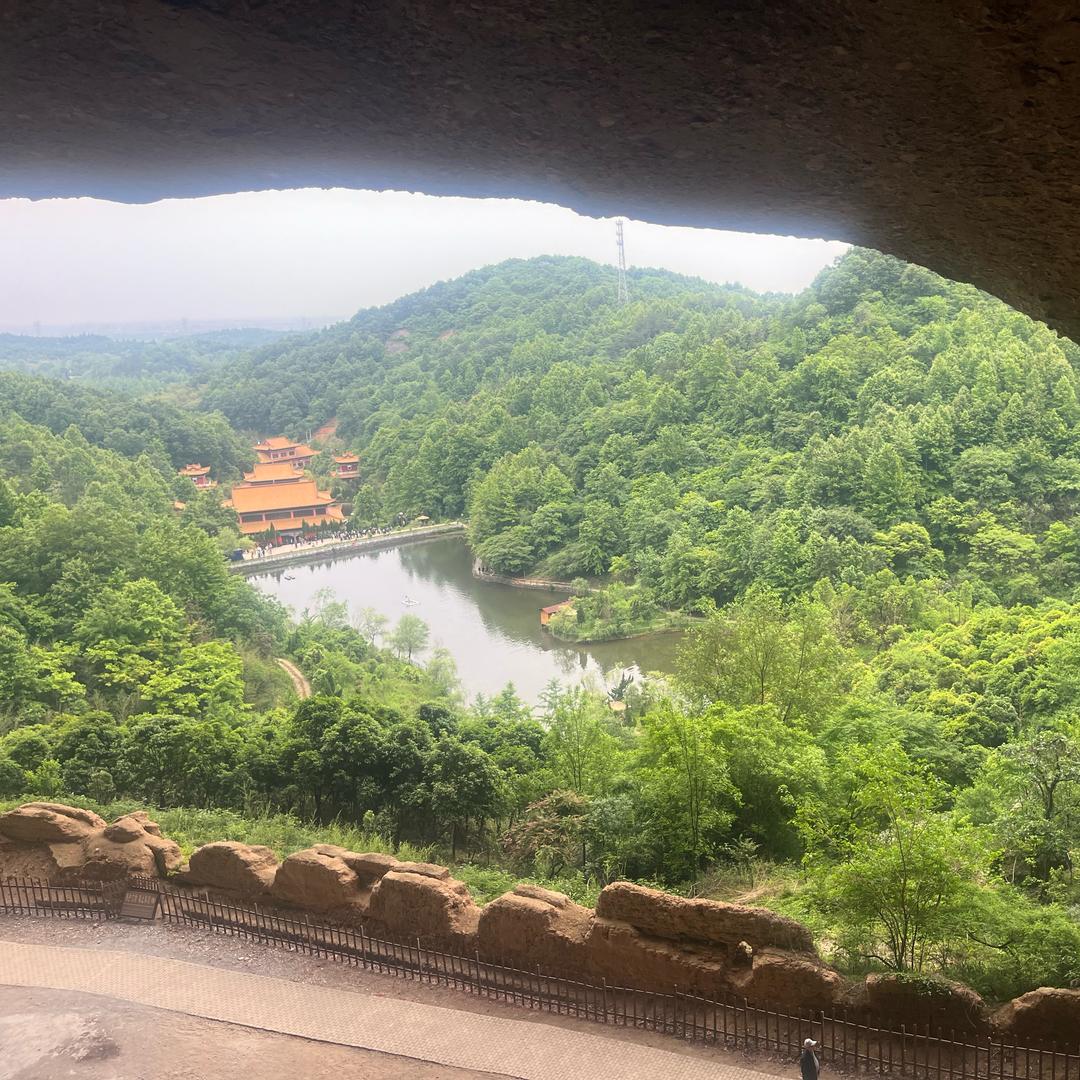 果香树叶🍂