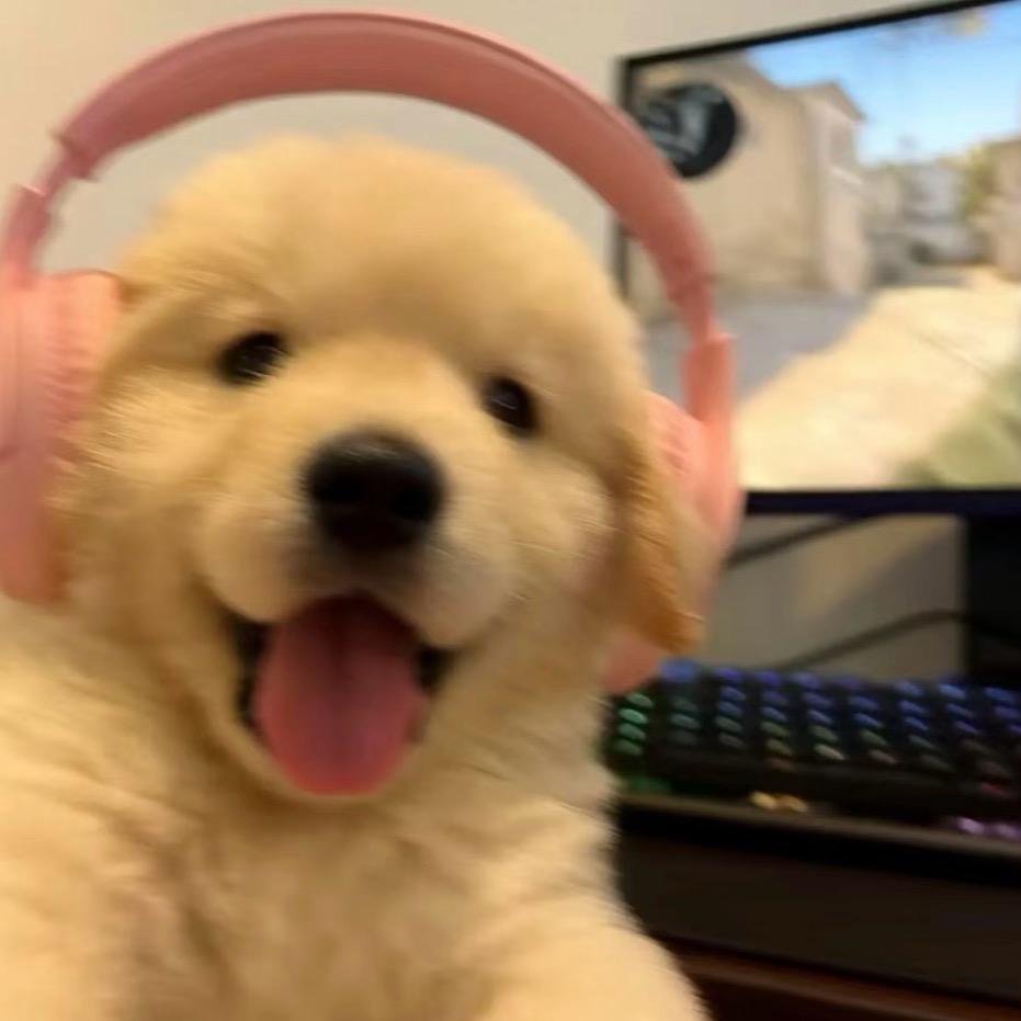 神明也怕日落🎀