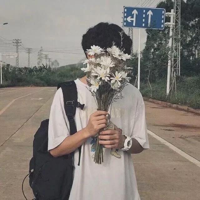 小小白杨